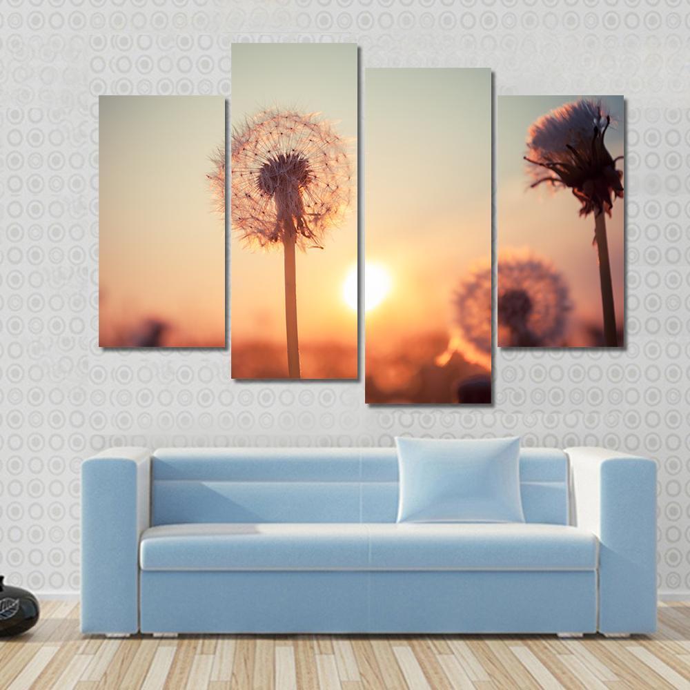 Real Field And Dandelion At Summer Sunset Canvas Wall Art-4 Pop-Gallery Wrap-50" x 32"-Tiaracle