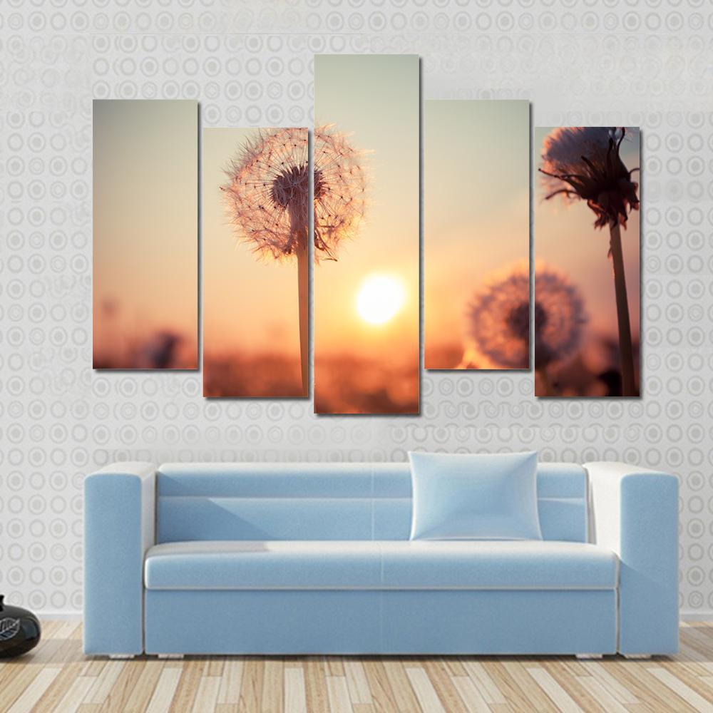 Real Field And Dandelion At Summer Sunset Canvas Wall Art-5 Pop-Gallery Wrap-47" x 32"-Tiaracle