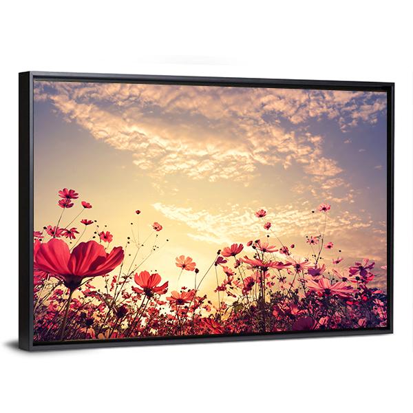 Red Cosmos Flower Field With Sunshine Canvas Wall Art-3 Horizontal-Gallery Wrap-25" x 16"-Tiaracle