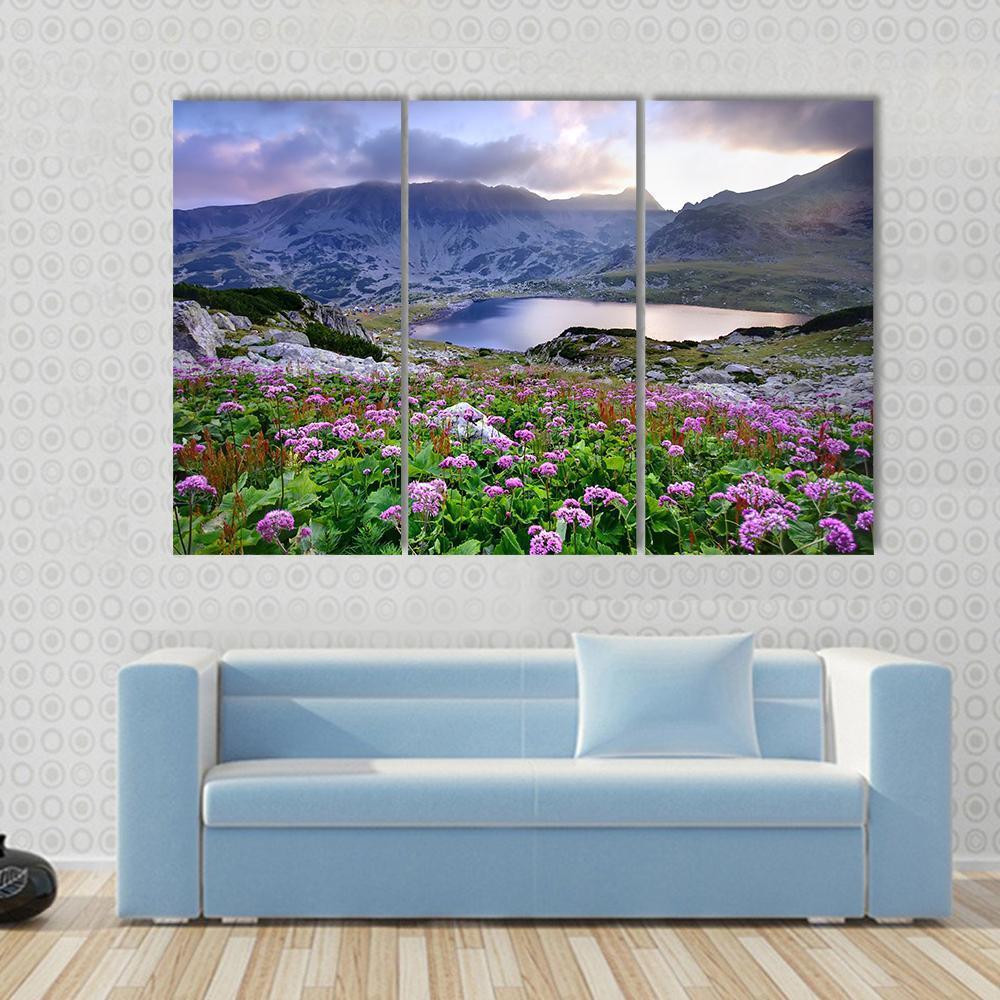 Retezat National Park With Lake On Mountain And Flowers Romania Canvas Wall Art-3 Horizontal-Gallery Wrap-37" x 24"-Tiaracle