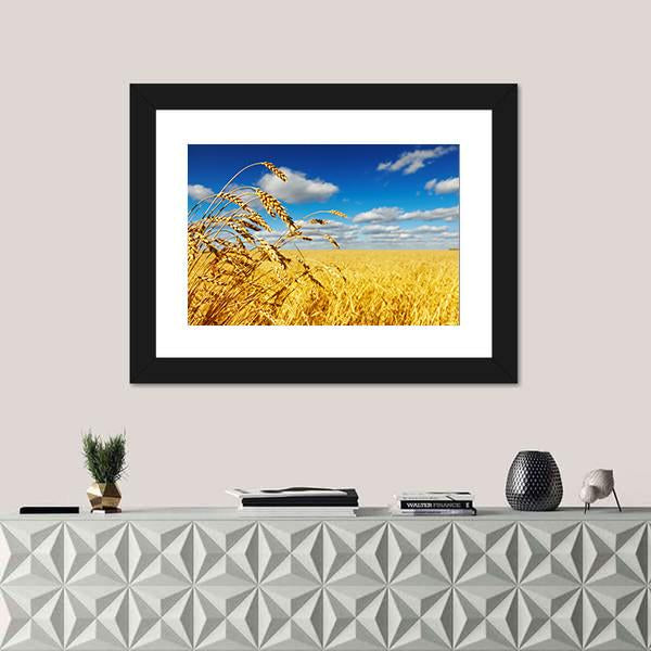 Ripe Wheat Ears Over Wheat Field Canvas Wall Art-1 Piece-Framed Print-20" x 16"-Tiaracle