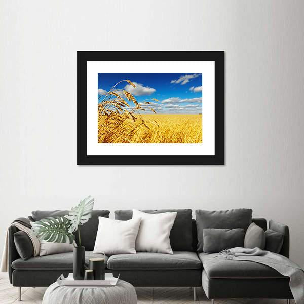 Ripe Wheat Ears Over Wheat Field Canvas Wall Art-3 Horizontal-Gallery Wrap-25" x 16"-Tiaracle