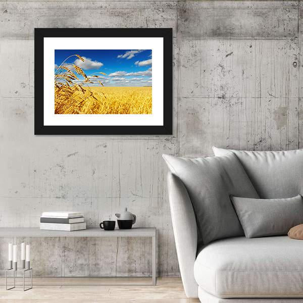 Ripe Wheat Ears Over Wheat Field Canvas Wall Art-3 Horizontal-Gallery Wrap-25" x 16"-Tiaracle