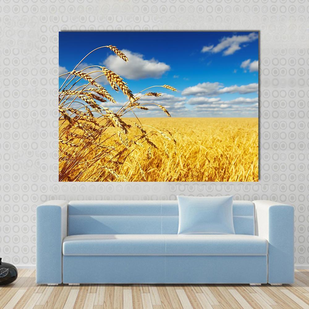 Ripe Wheat Ears Over Wheat Field Canvas Wall Art-1 Piece-Gallery Wrap-48" x 32"-Tiaracle