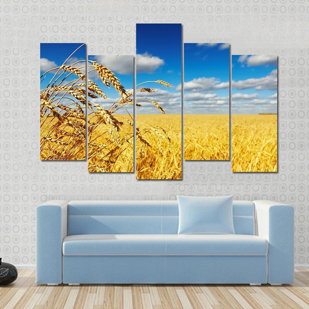 Ripe Wheat Ears Over Wheat Field Canvas Wall Art-5 Pop-Gallery Wrap-47" x 32"-Tiaracle