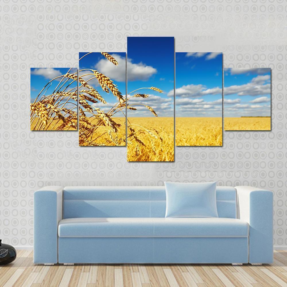 Ripe Wheat Ears Over Wheat Field Canvas Wall Art-5 Star-Gallery Wrap-62" x 32"-Tiaracle