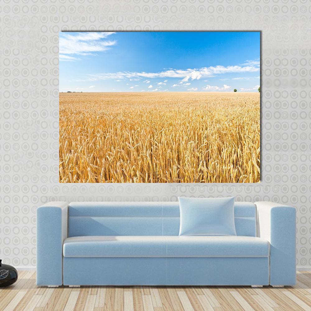 Ripe Wheat Field And Blue Sky With Clouds Canvas Wall Art-1 Piece-Gallery Wrap-48" x 32"-Tiaracle