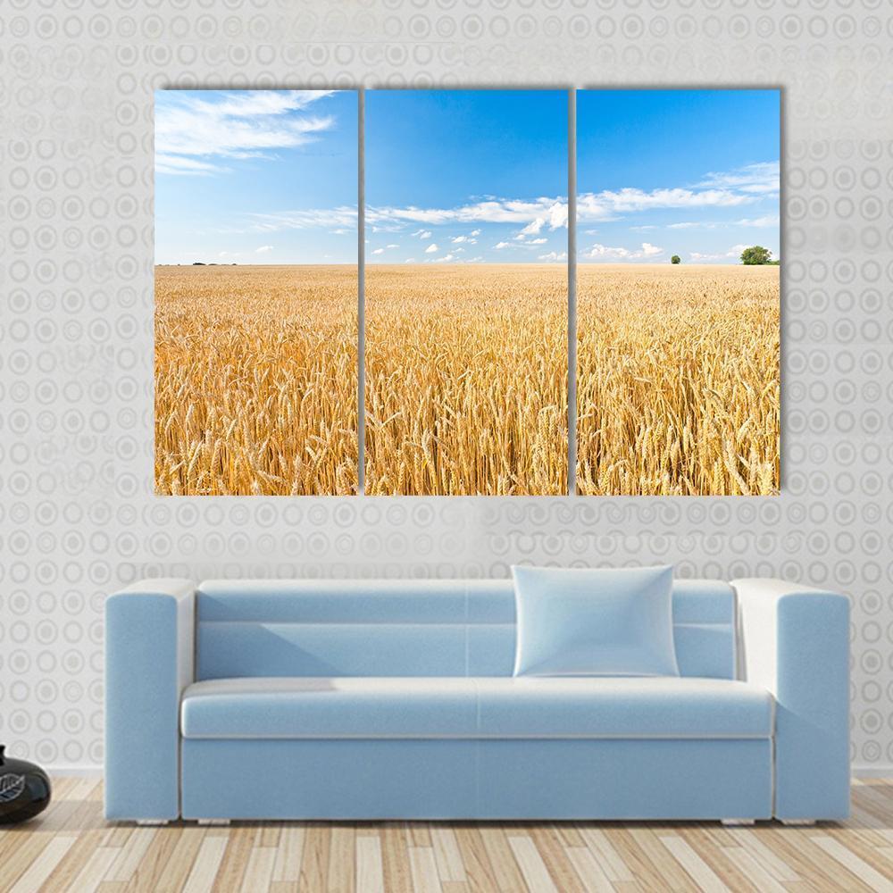 Ripe Wheat Field And Blue Sky With Clouds Canvas Wall Art-3 Horizontal-Gallery Wrap-37" x 24"-Tiaracle