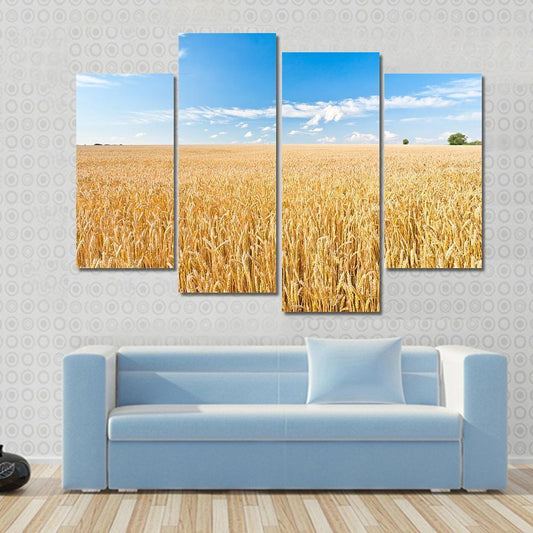 Ripe Wheat Field And Blue Sky With Clouds Canvas Wall Art-4 Pop-Gallery Wrap-50" x 32"-Tiaracle