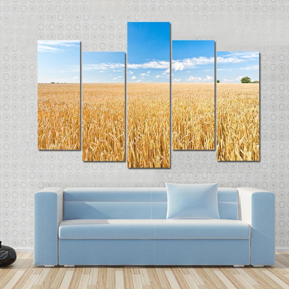 Ripe Wheat Field And Blue Sky With Clouds Canvas Wall Art-5 Pop-Gallery Wrap-47" x 32"-Tiaracle