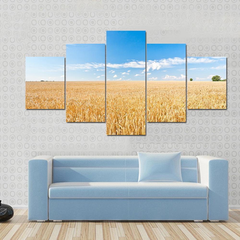 Ripe Wheat Field And Blue Sky With Clouds Canvas Wall Art-5 Star-Gallery Wrap-62" x 32"-Tiaracle