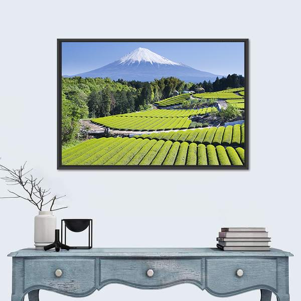 Rows Of Fresh Green Tea With Mount Fuji Canvas Wall Art-1 Piece-Floating Frame-24" x 16"-Tiaracle