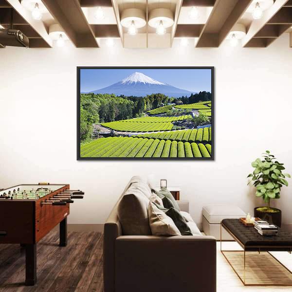 Rows Of Fresh Green Tea With Mount Fuji Canvas Wall Art-3 Horizontal-Gallery Wrap-25" x 16"-Tiaracle