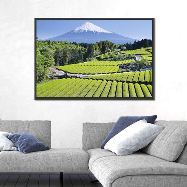 Rows Of Fresh Green Tea With Mount Fuji Canvas Wall Art-3 Horizontal-Gallery Wrap-25" x 16"-Tiaracle