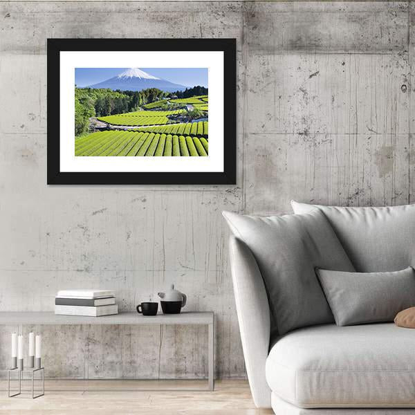 Rows Of Fresh Green Tea With Mount Fuji Canvas Wall Art-3 Horizontal-Gallery Wrap-25" x 16"-Tiaracle