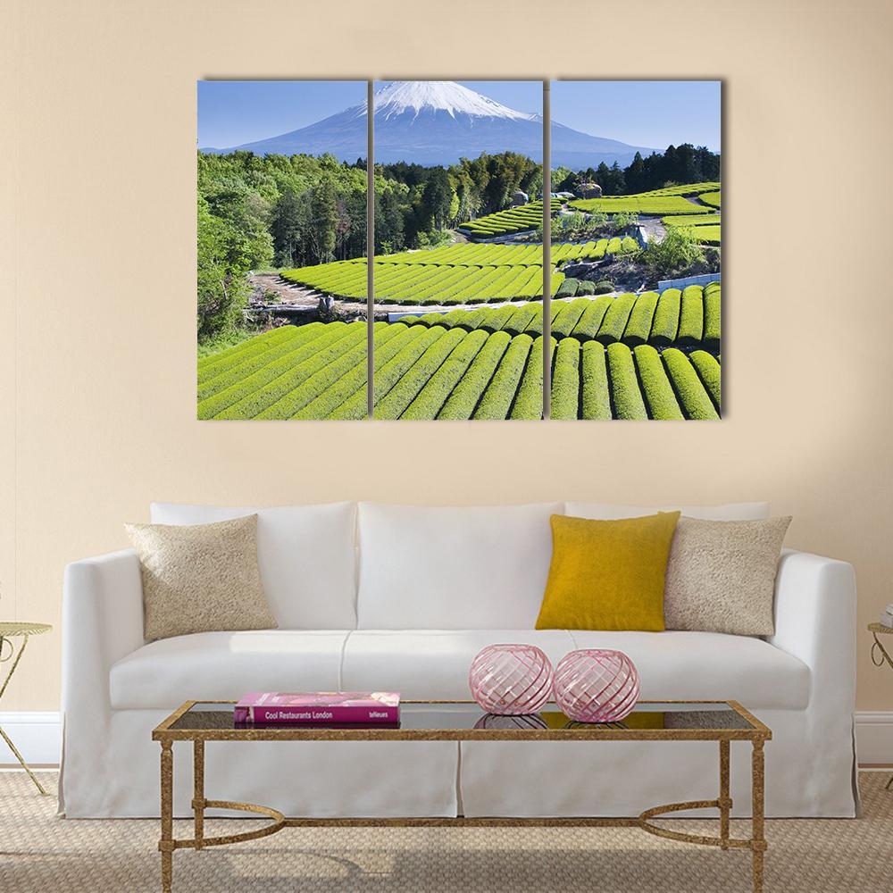 Rows Of Fresh Green Tea With Mount Fuji Canvas Wall Art-3 Horizontal-Gallery Wrap-37" x 24"-Tiaracle