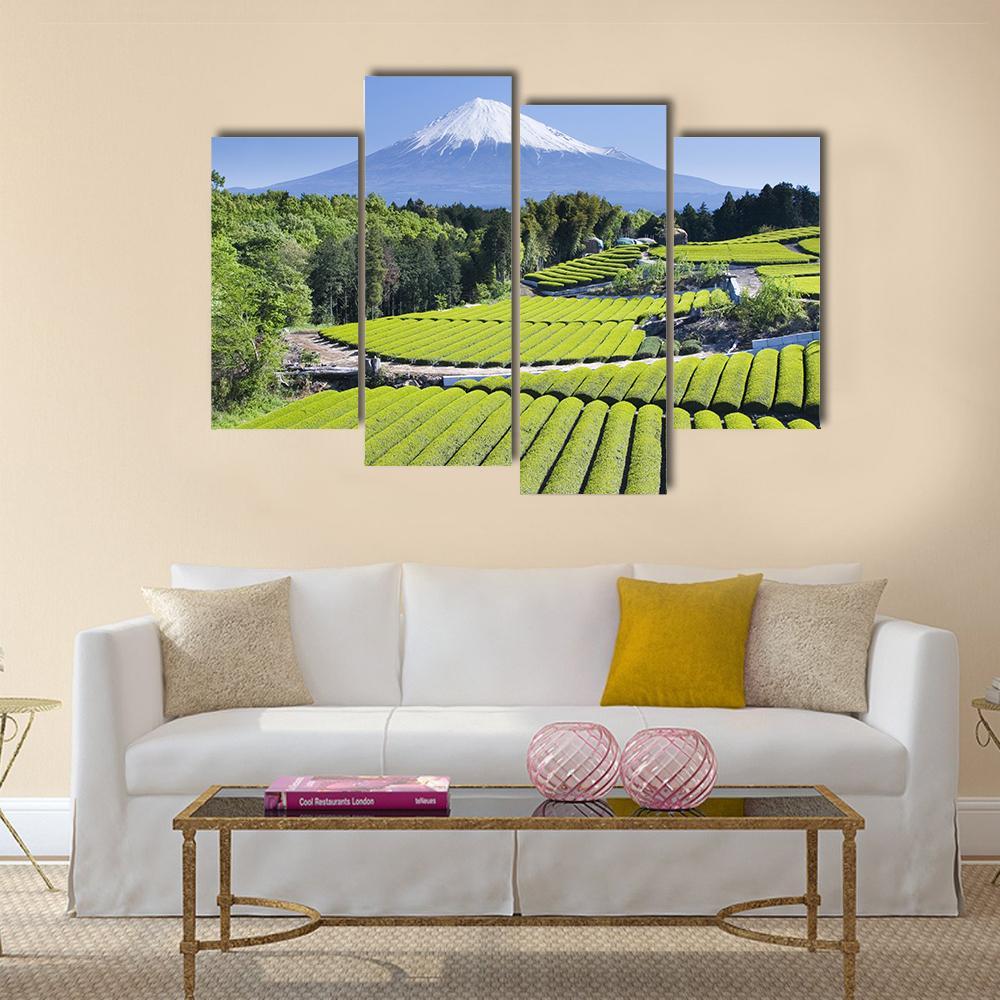 Rows Of Fresh Green Tea With Mount Fuji Canvas Wall Art-4 Pop-Gallery Wrap-50" x 32"-Tiaracle