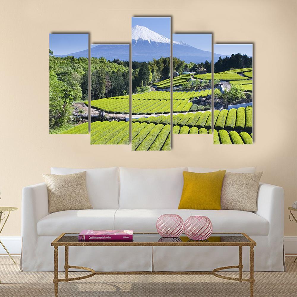 Rows Of Fresh Green Tea With Mount Fuji Canvas Wall Art-5 Pop-Gallery Wrap-47" x 32"-Tiaracle