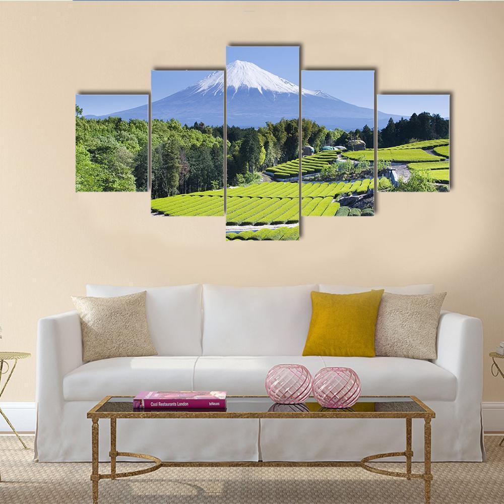 Rows Of Fresh Green Tea With Mount Fuji Canvas Wall Art-5 Star-Gallery Wrap-62" x 32"-Tiaracle