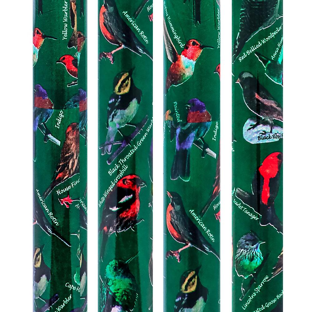 Scratch & Dent American Songbird Folding Adjustable Designer Derby Walking Cane w/ Engraved Collar V1769