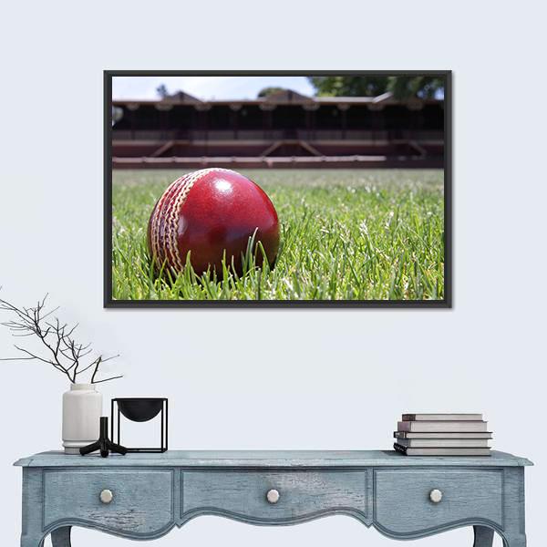 Shiny New Cricket Ball On Grass Canvas Wall Art-1 Piece-Floating Frame-24" x 16"-Tiaracle