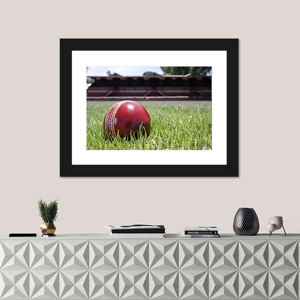 Shiny New Cricket Ball On Grass Canvas Wall Art-1 Piece-Framed Print-20" x 16"-Tiaracle