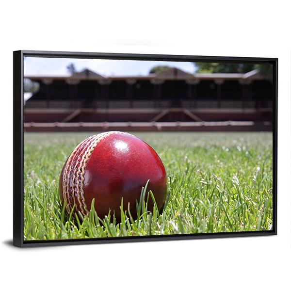 Shiny New Cricket Ball On Grass Canvas Wall Art-3 Horizontal-Gallery Wrap-25" x 16"-Tiaracle