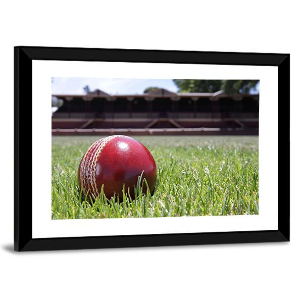 Shiny New Cricket Ball On Grass Canvas Wall Art-3 Horizontal-Gallery Wrap-25" x 16"-Tiaracle