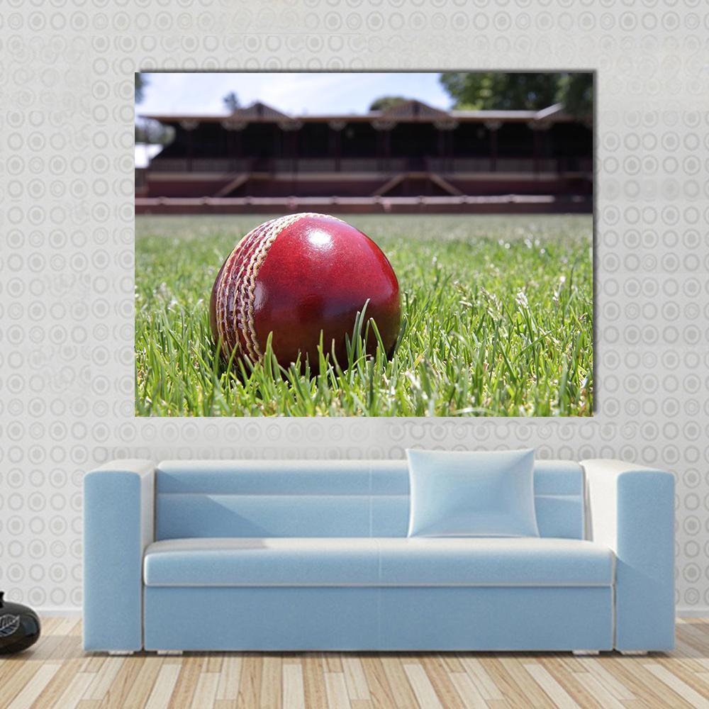 Shiny New Cricket Ball On Grass Canvas Wall Art-1 Piece-Gallery Wrap-48" x 32"-Tiaracle