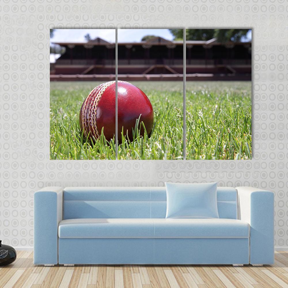 Shiny New Cricket Ball On Grass Canvas Wall Art-3 Horizontal-Gallery Wrap-37" x 24"-Tiaracle