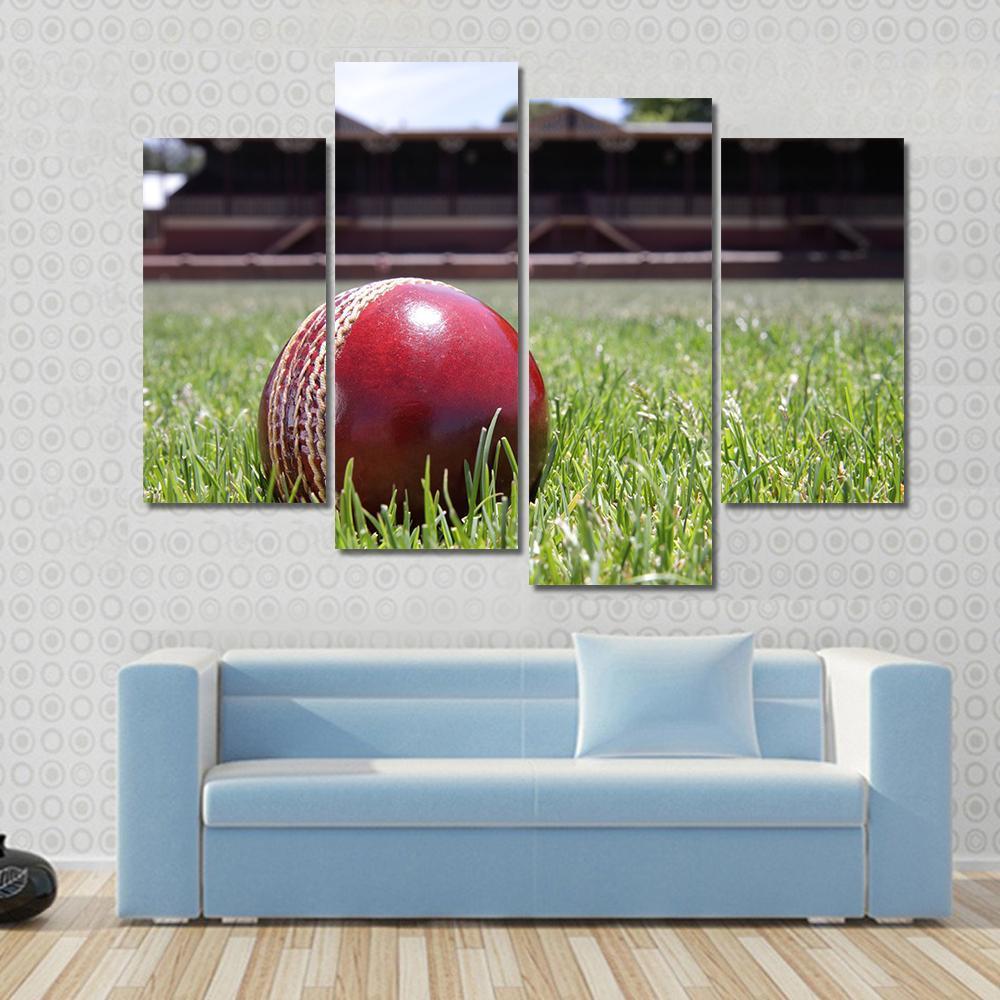 Shiny New Cricket Ball On Grass Canvas Wall Art-4 Pop-Gallery Wrap-50" x 32"-Tiaracle