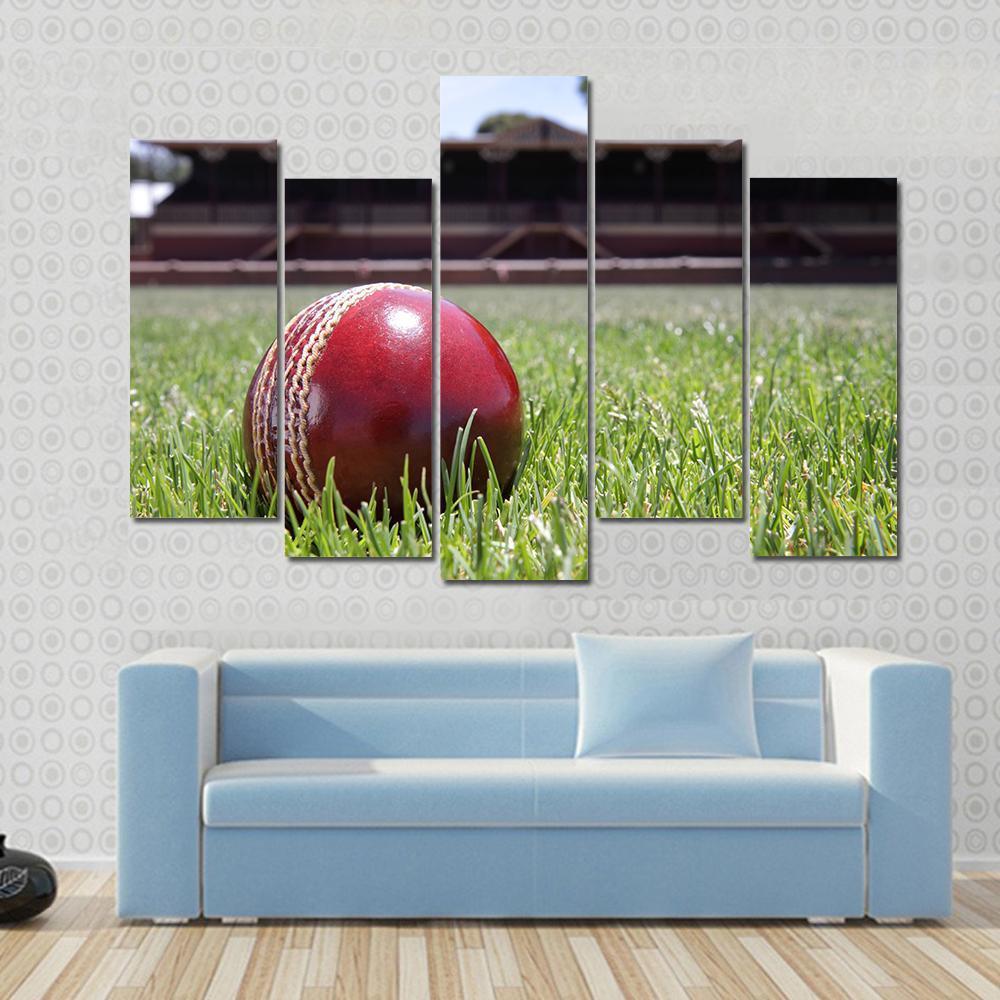 Shiny New Cricket Ball On Grass Canvas Wall Art-5 Pop-Gallery Wrap-47" x 32"-Tiaracle