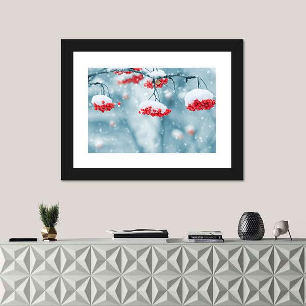 Snow Covered Mountain Ash Canvas Wall Art-1 Piece-Framed Print-20" x 16"-Tiaracle