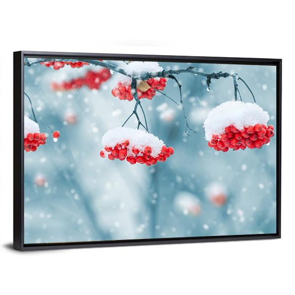 Snow Covered Mountain Ash Canvas Wall Art-3 Horizontal-Gallery Wrap-25" x 16"-Tiaracle