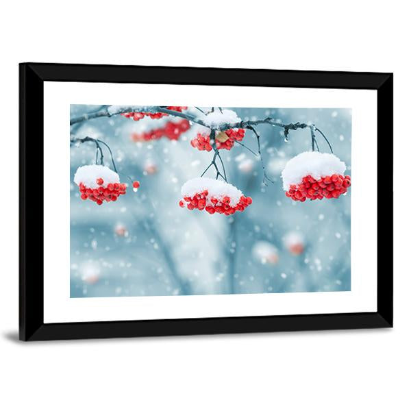 Snow Covered Mountain Ash Canvas Wall Art-3 Horizontal-Gallery Wrap-25" x 16"-Tiaracle