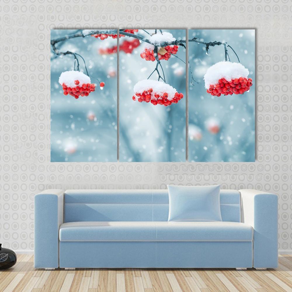 Snow Covered Mountain Ash Canvas Wall Art-3 Horizontal-Gallery Wrap-37" x 24"-Tiaracle