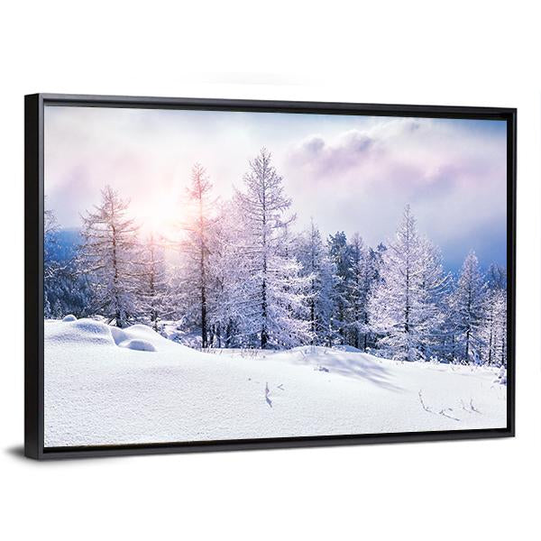 Snow Covered Trees In The Mountains At Sunset Canvas Wall Art-3 Horizontal-Gallery Wrap-25" x 16"-Tiaracle