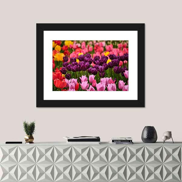 Spring Flower Tulips Canvas Wall Art-1 Piece-Framed Print-20" x 16"-Tiaracle