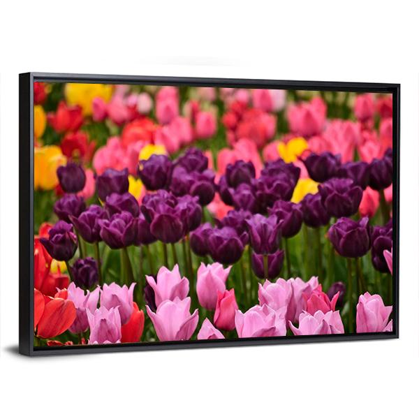 Spring Flower Tulips Canvas Wall Art-3 Horizontal-Gallery Wrap-25" x 16"-Tiaracle