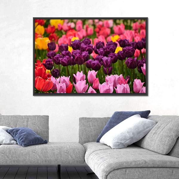 Spring Flower Tulips Canvas Wall Art-3 Horizontal-Gallery Wrap-25" x 16"-Tiaracle