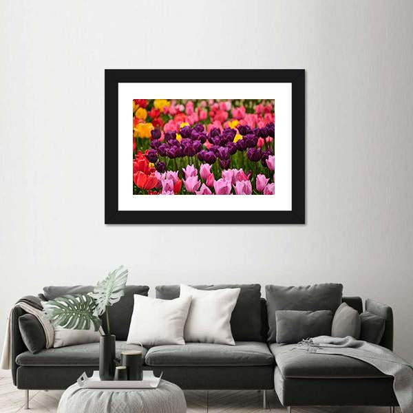 Spring Flower Tulips Canvas Wall Art-3 Horizontal-Gallery Wrap-25" x 16"-Tiaracle