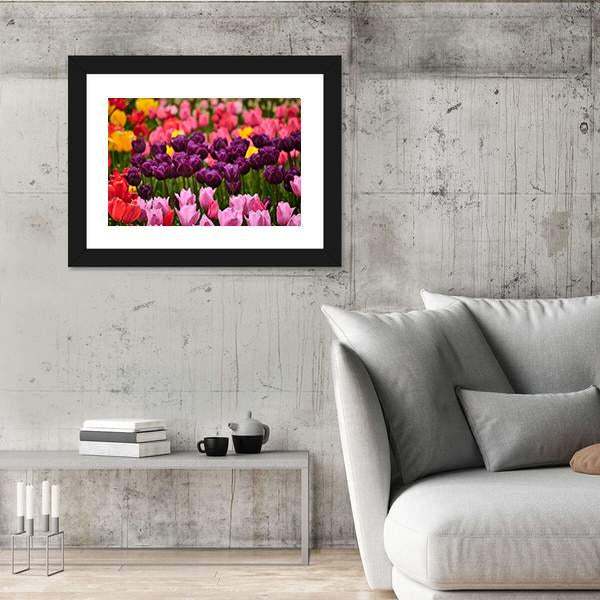 Spring Flower Tulips Canvas Wall Art-3 Horizontal-Gallery Wrap-25" x 16"-Tiaracle