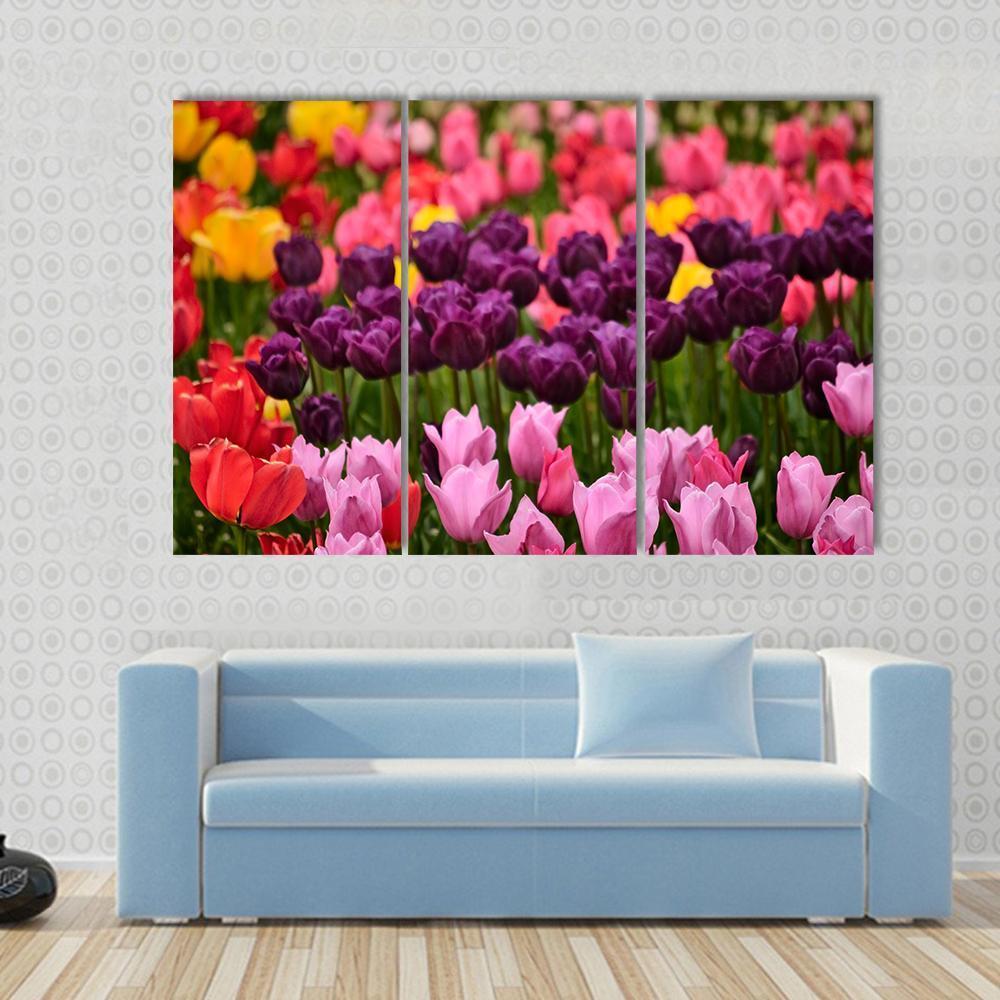 Spring Flower Tulips Canvas Wall Art-3 Horizontal-Gallery Wrap-37" x 24"-Tiaracle