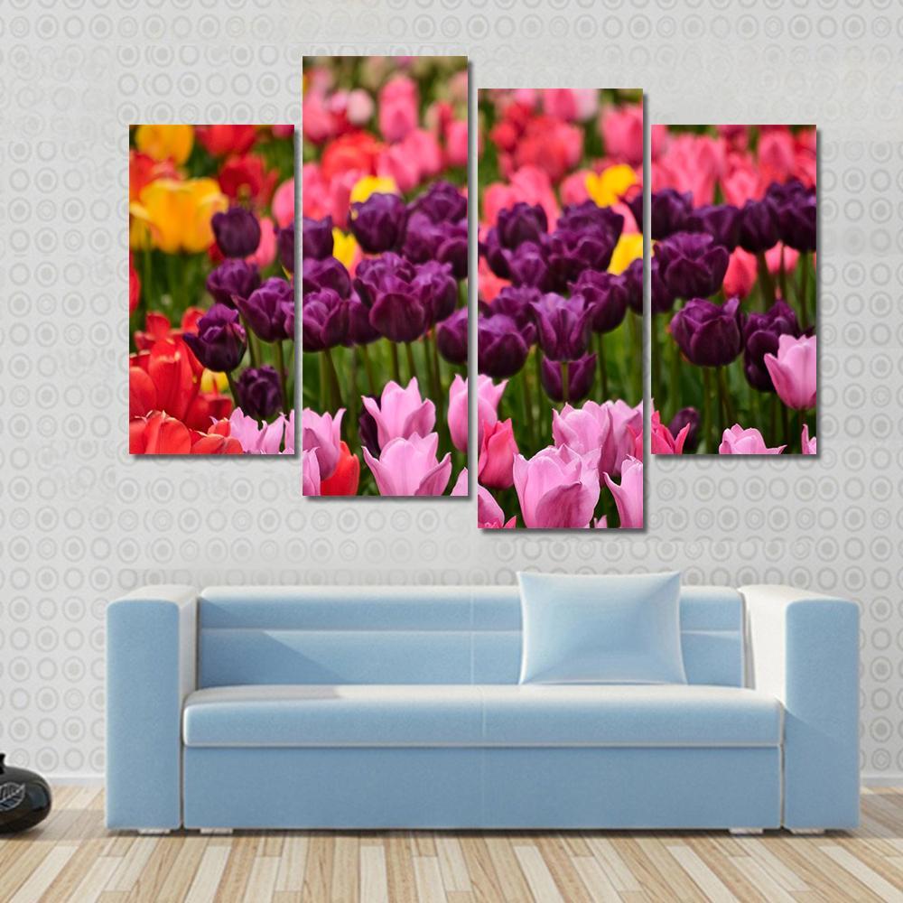 Spring Flower Tulips Canvas Wall Art-4 Pop-Gallery Wrap-50" x 32"-Tiaracle