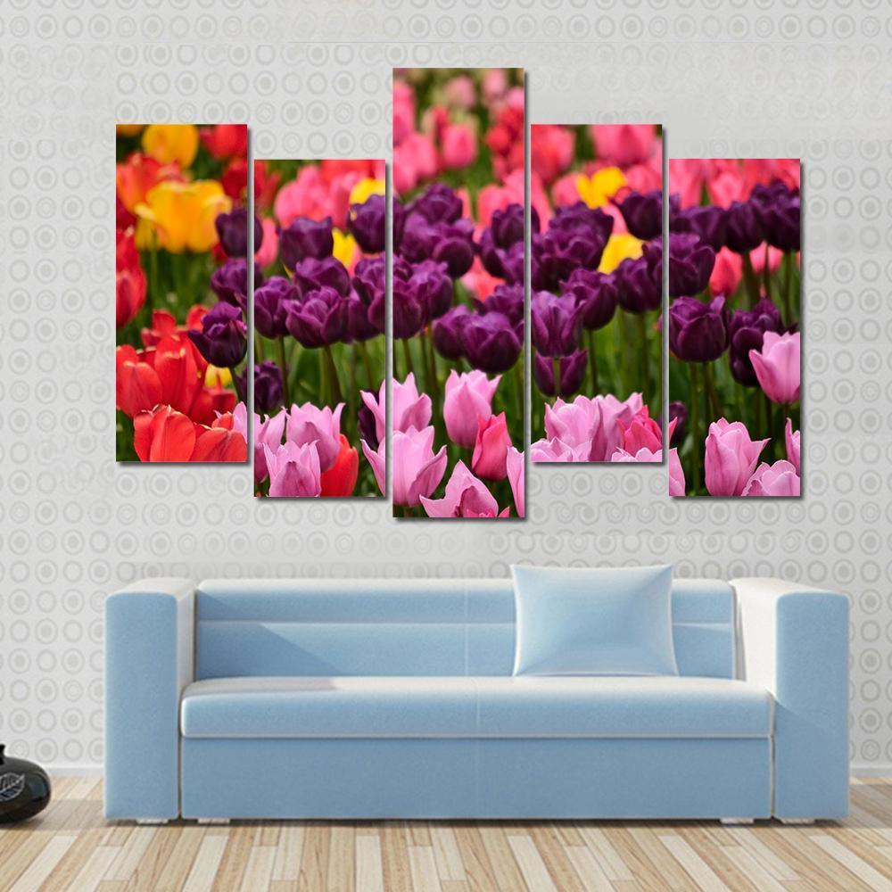 Spring Flower Tulips Canvas Wall Art-5 Pop-Gallery Wrap-47" x 32"-Tiaracle