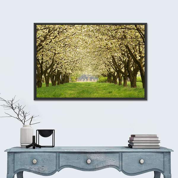 Spring In Cherry Orchard Poland Canvas Wall Art-1 Piece-Floating Frame-24" x 16"-Tiaracle