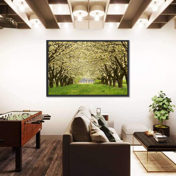 Spring In Cherry Orchard Poland Canvas Wall Art-3 Horizontal-Gallery Wrap-25" x 16"-Tiaracle