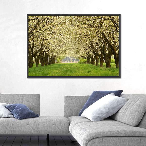 Spring In Cherry Orchard Poland Canvas Wall Art-3 Horizontal-Gallery Wrap-25" x 16"-Tiaracle