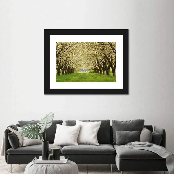 Spring In Cherry Orchard Poland Canvas Wall Art-3 Horizontal-Gallery Wrap-25" x 16"-Tiaracle