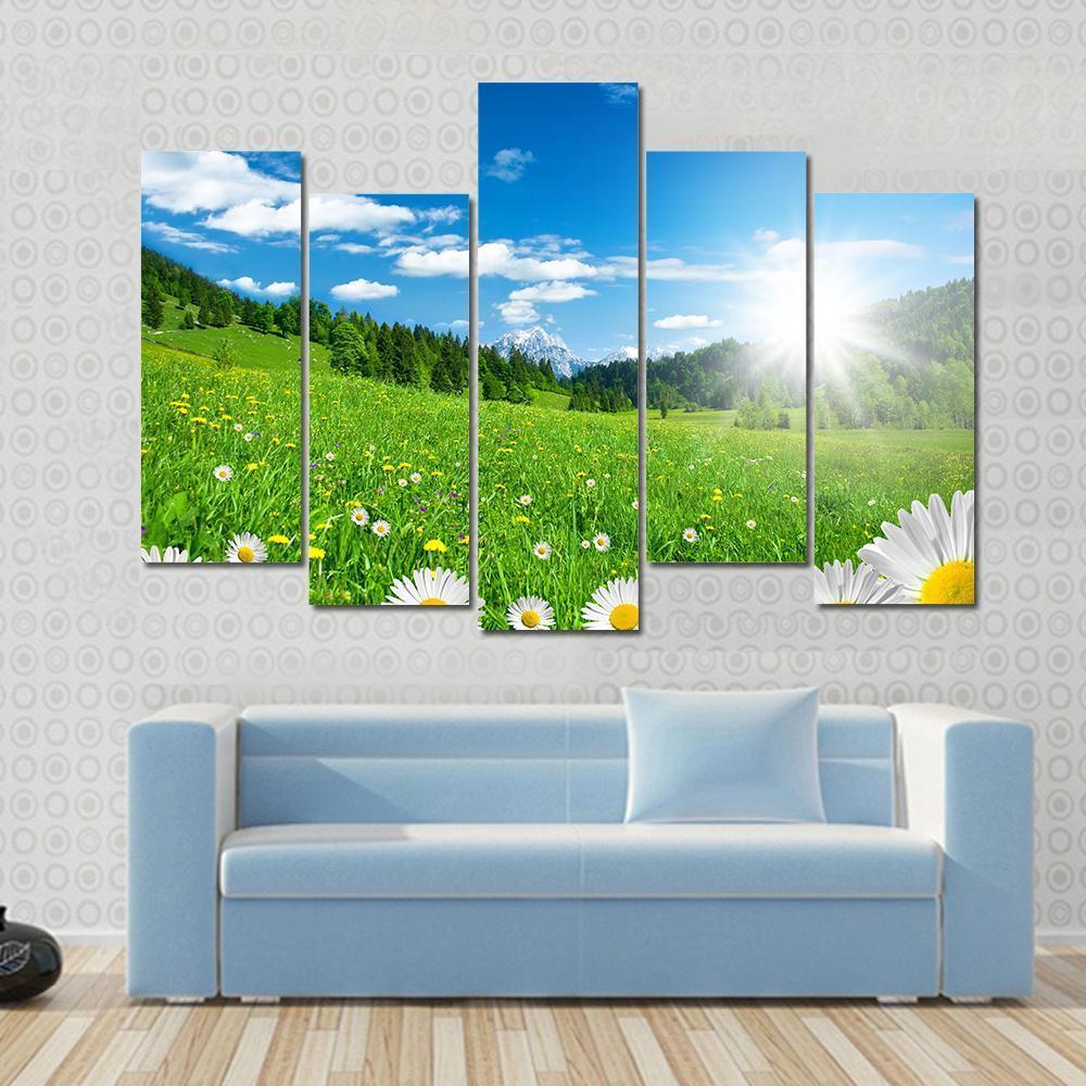 Spring Time In The Alps With Flowers And Sky Canvas Wall Art-5 Pop-Gallery Wrap-47" x 32"-Tiaracle